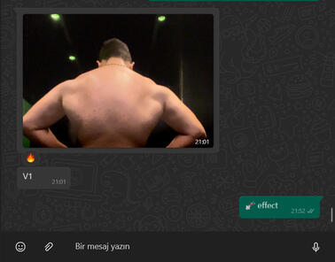 Sırt-kanat gelişimi